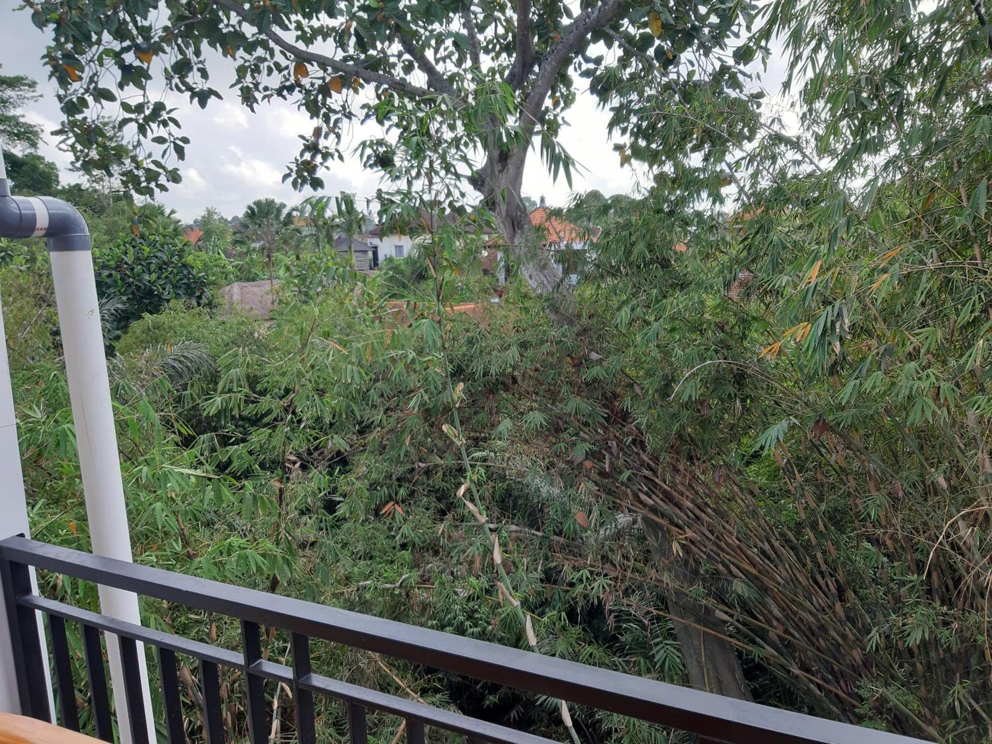 Patra House Apartment Ubud  Exterior photo